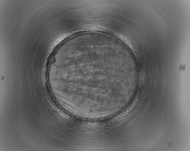 X0000094071071200711091146