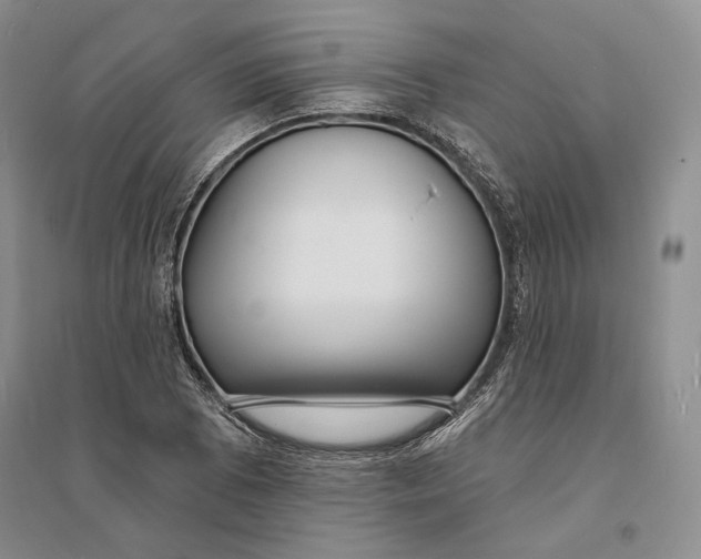 X0000094071073200711091146