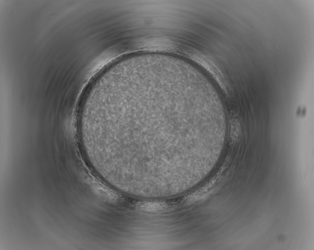 X0000094071074200711091146