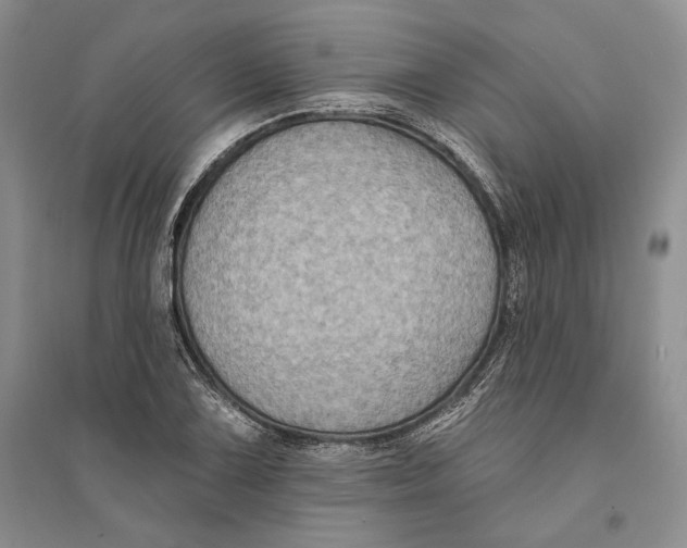 X0000094071075200711091146