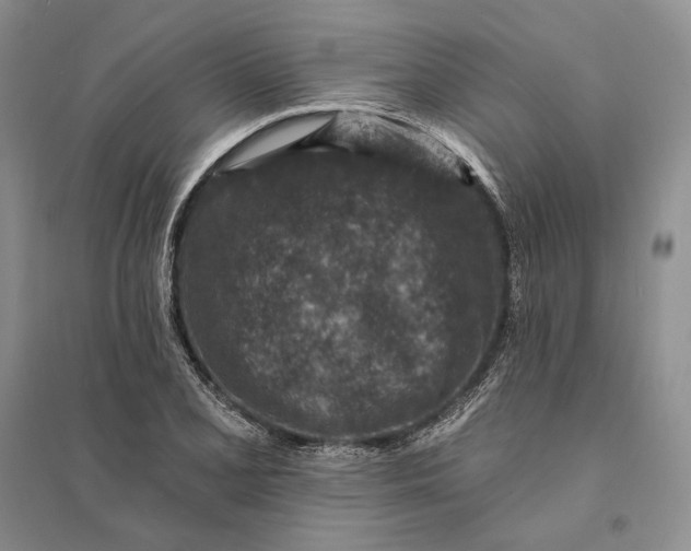 X0000094071077200711091146