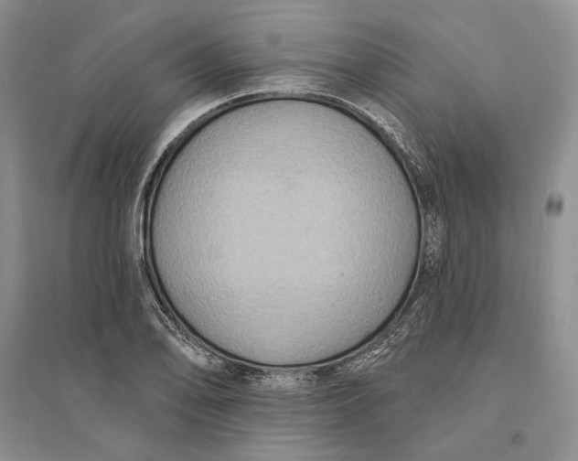 X0000094071078200711091146