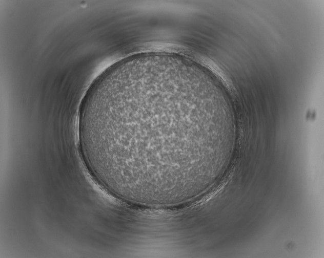 X0000094071079200711091146