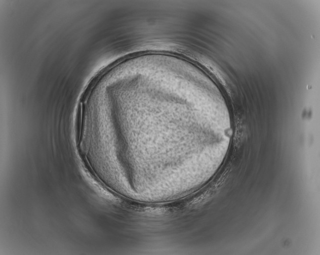 X0000094071080200711091146