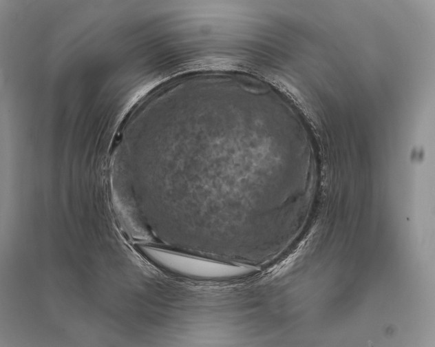 X0000094071081200711091146