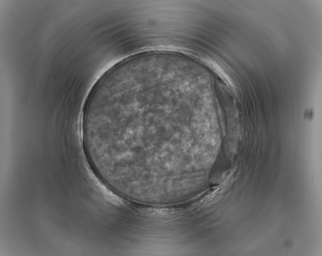 X0000094071084200711091146