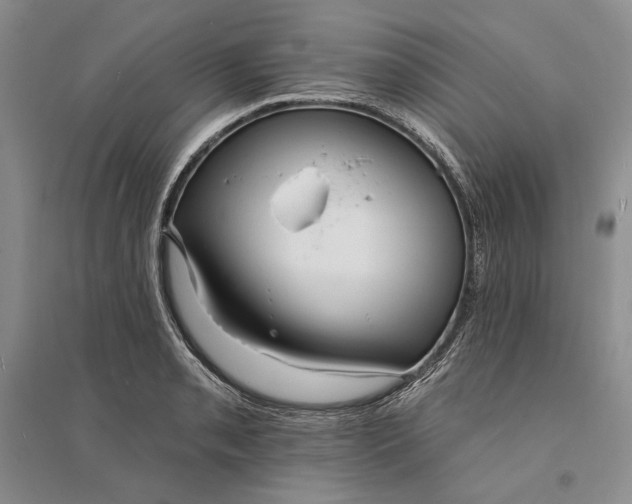 X0000094071085200711091146