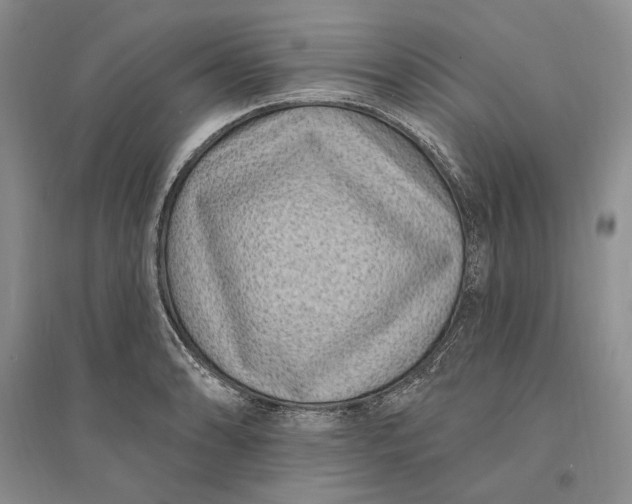 X0000094071086200711091146