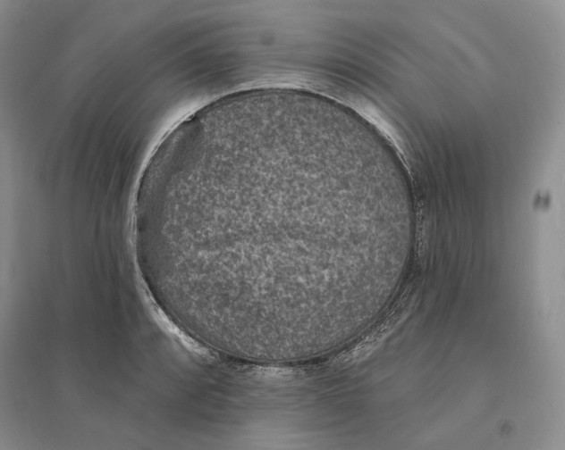 X0000094071088200711091146