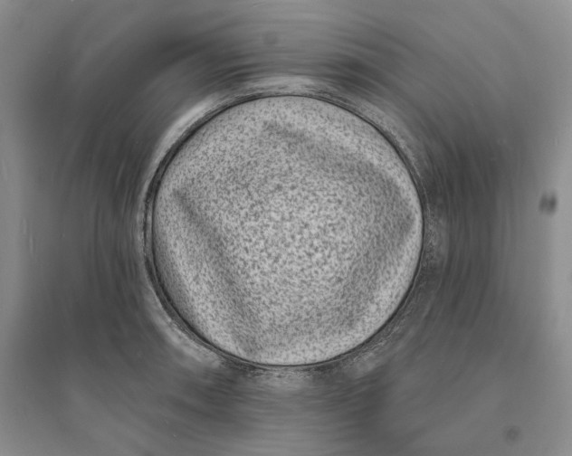 X0000094071090200711091146