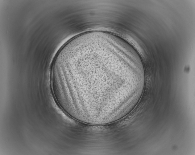 X0000094071092200711091146