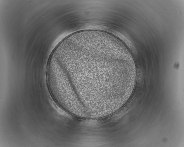 X0000094071094200711091146