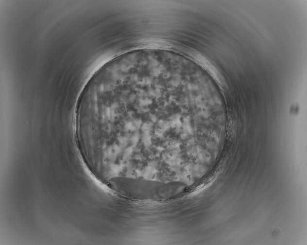 X0000094071095200711091146