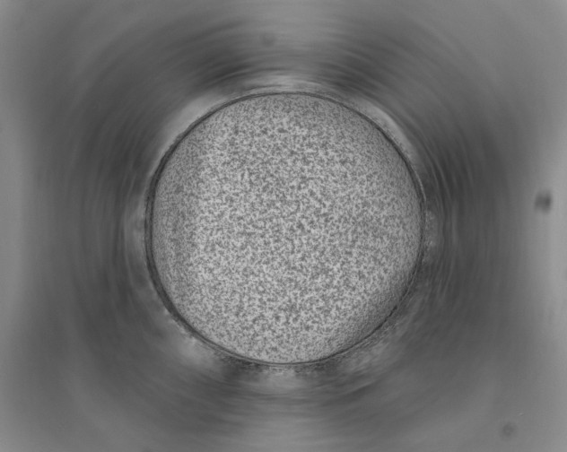 X0000094071098200711091146