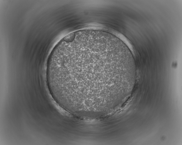 X0000094071099200711091146