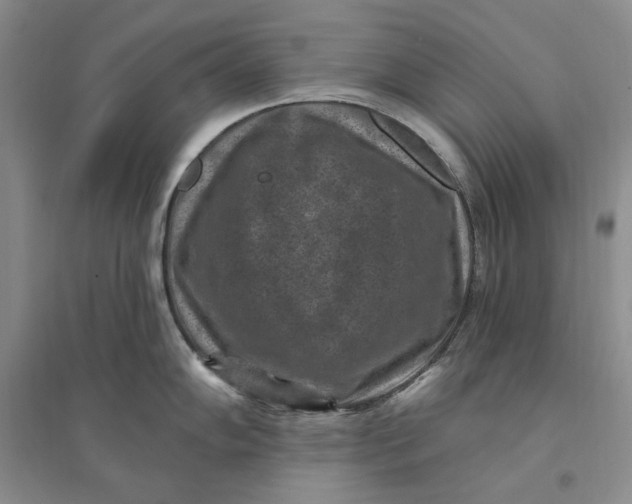 X0000094071102200711091146