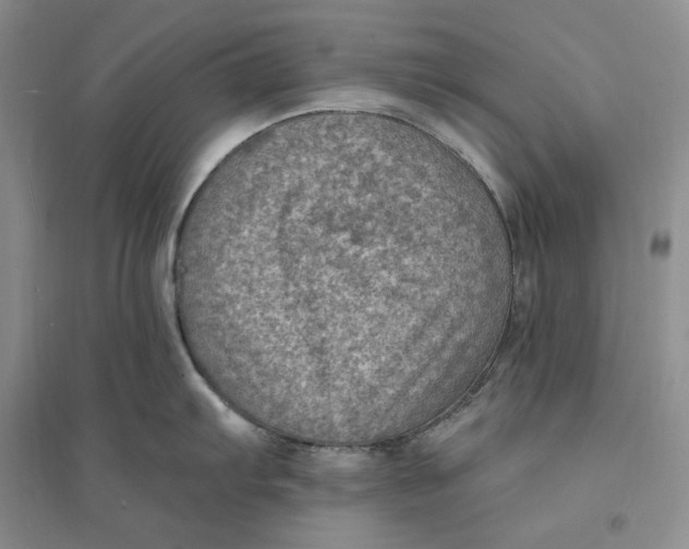 X0000094071103200711091146