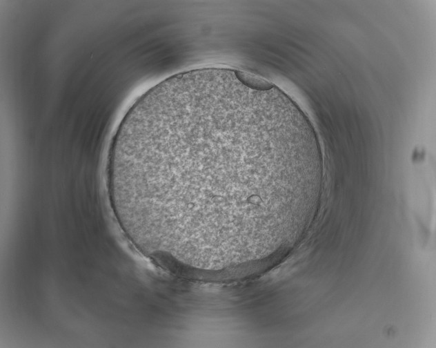 X0000094071104200711091146