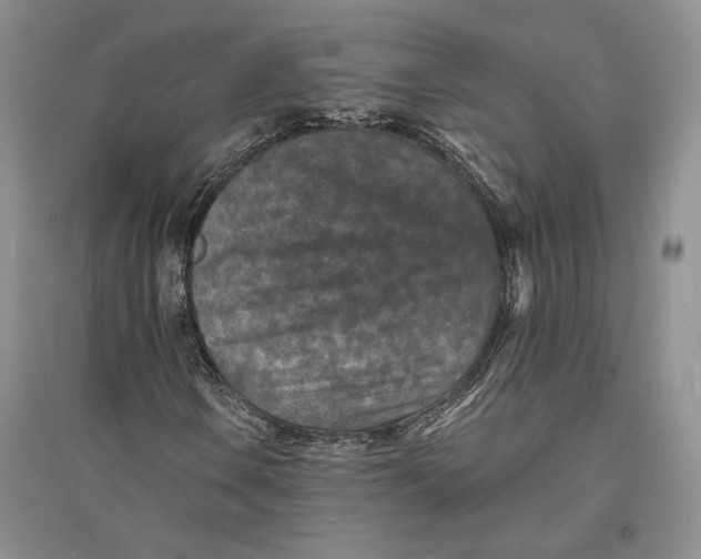 X0000094071106200711091145