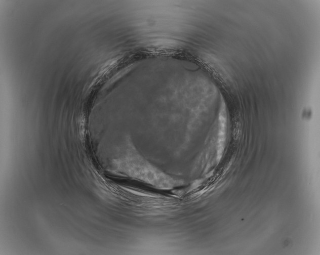 X0000094071108200711091145