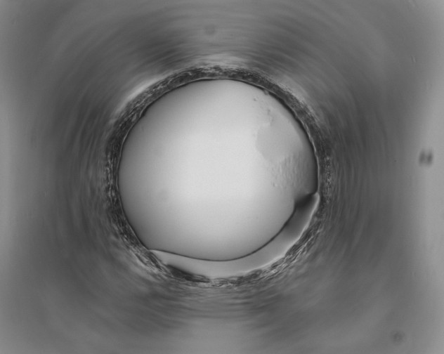 X0000094071112200711091145
