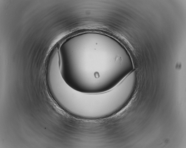 X0000094071114200711091145