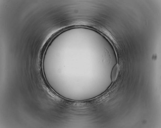 X0000094071116200711091145