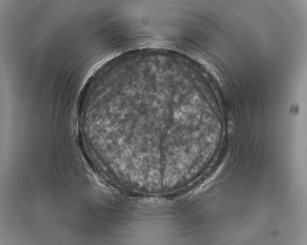 X0000094071117200711091145