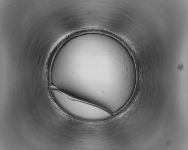 X0000094071118200711091145