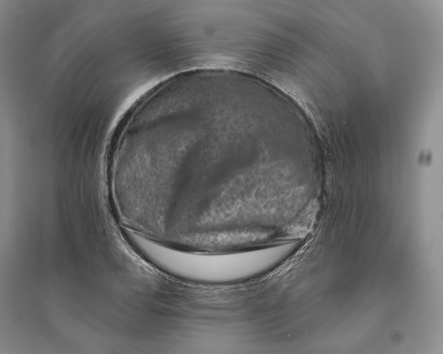 X0000094071120200711091145