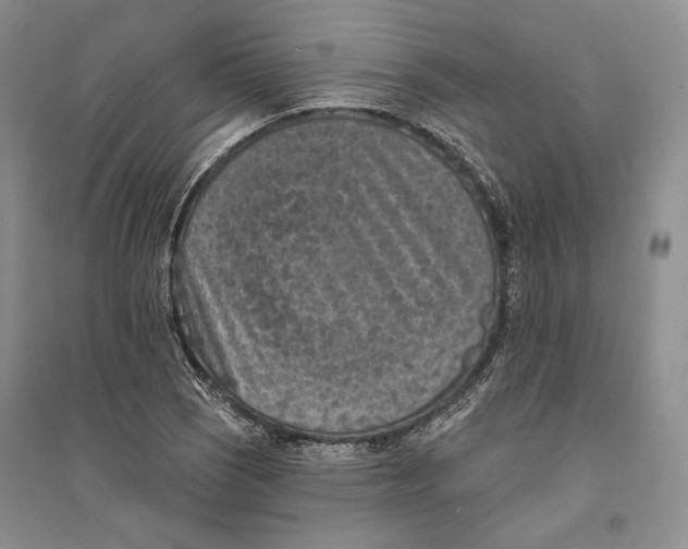 X0000094071121200711091145