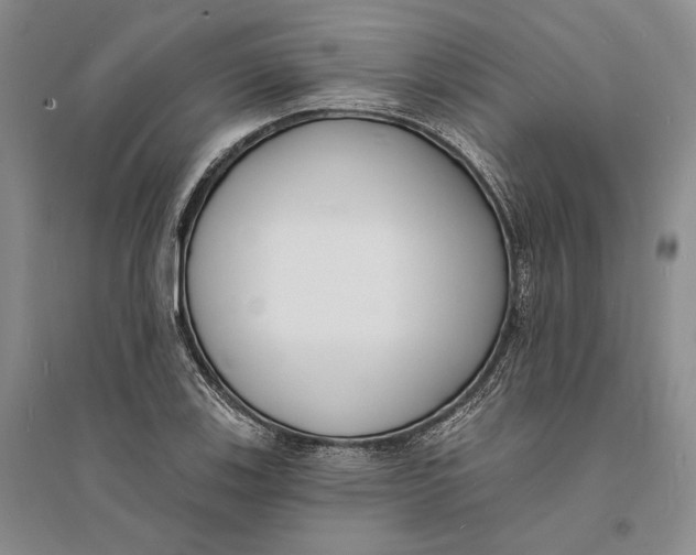 X0000094071123200711091145
