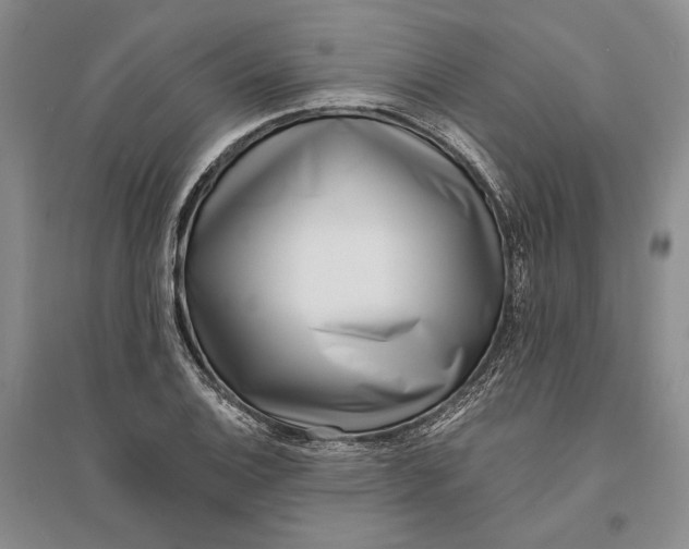 X0000094071124200711091145