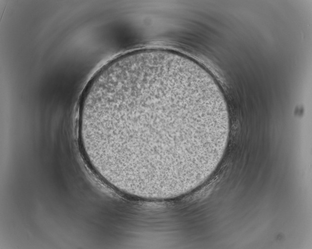 X0000094071126200711091145