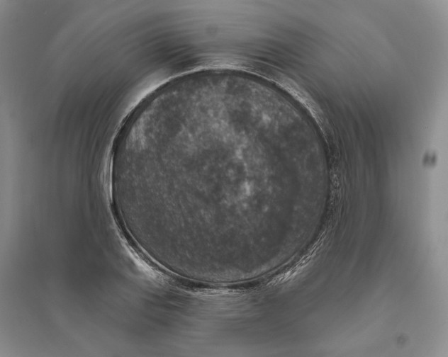 X0000094071127200711091145