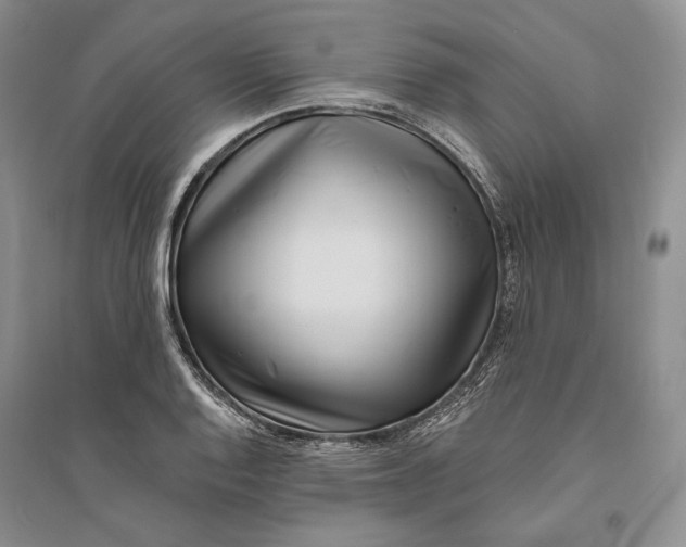 X0000094071128200711091145