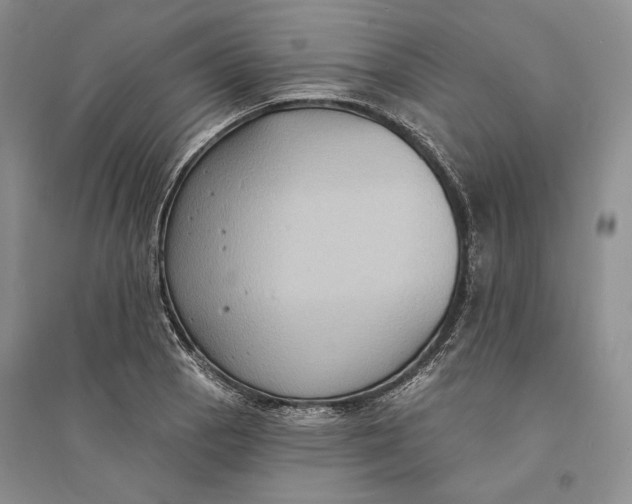 X0000094071129200711091145