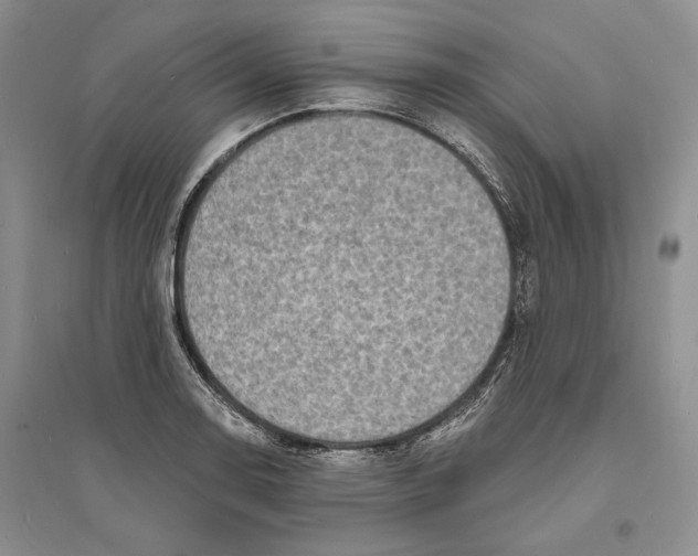 X0000094071130200711091145