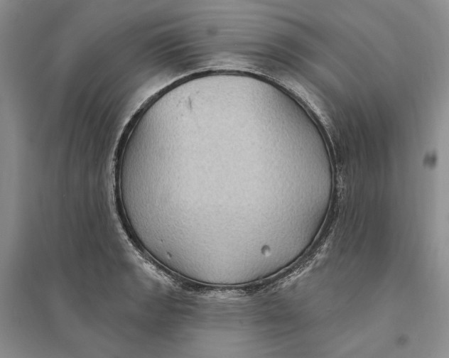 X0000094071133200711091145