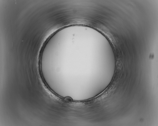 X0000094071135200711091145