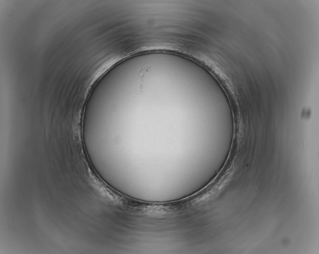 X0000094071137200711091145