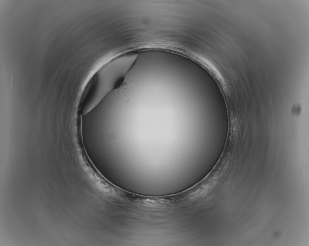 X0000094071138200711091145