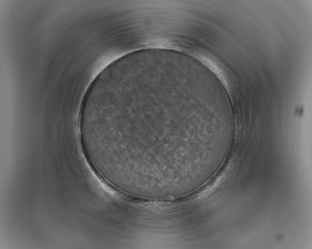 X0000094071141200711091145