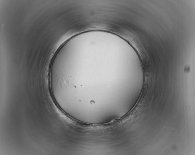 X0000094071143200711091146