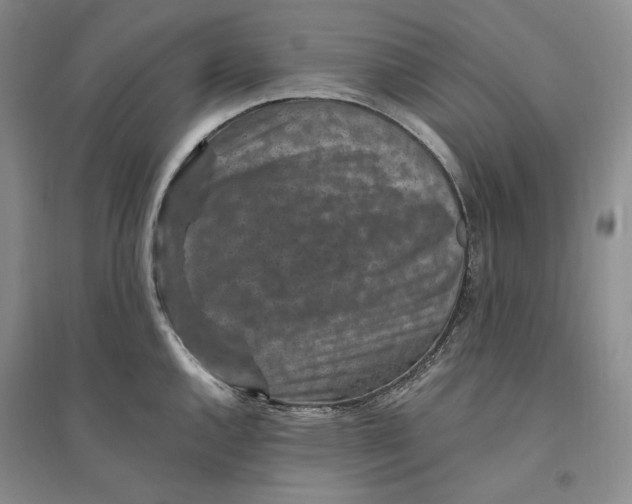 X0000094071144200711091146