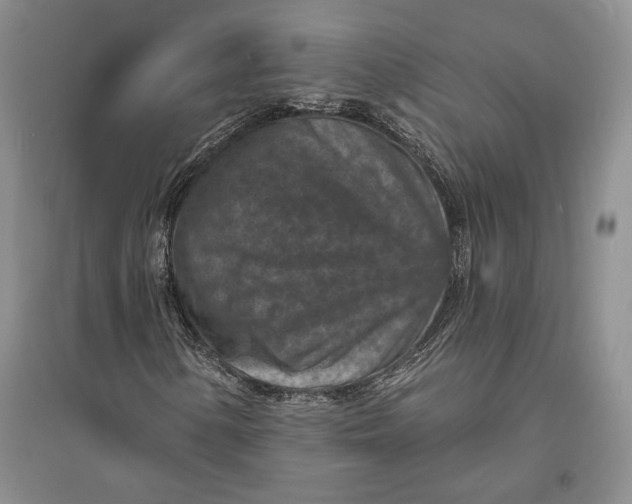 X0000094071154200711091145