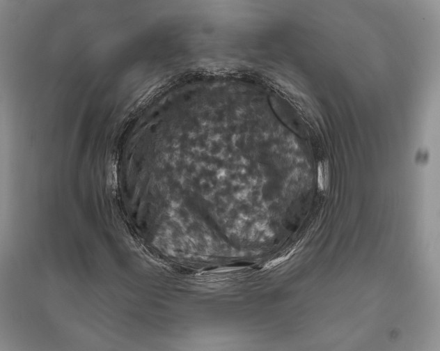 X0000094071155200711091145