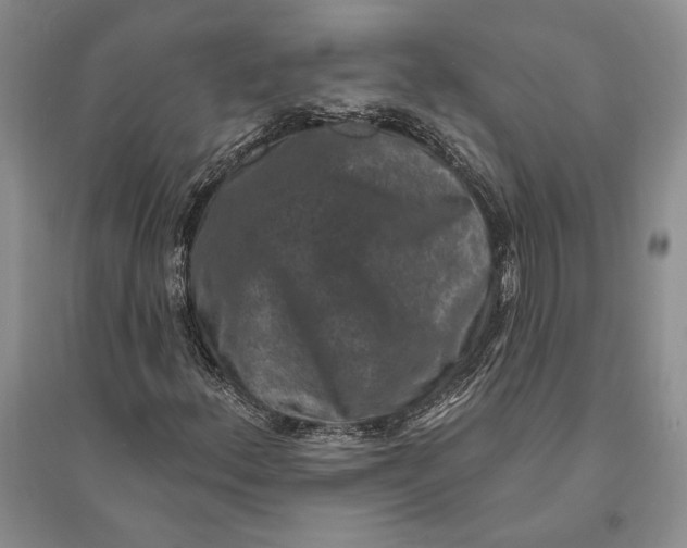 X0000094071156200711091145