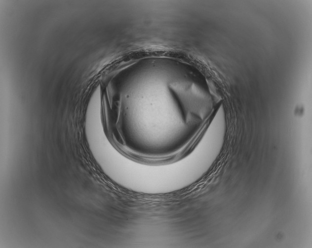 X0000094071157200711091145