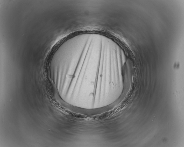 X0000094071160200711091145